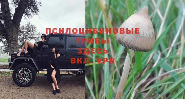 винт Алексеевка