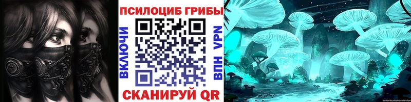 где можно купить   Псков  Псилоцибиновые грибы Magic Shrooms 