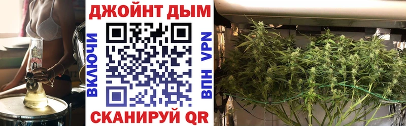 Бошки Шишки план  купить закладку  Псков 